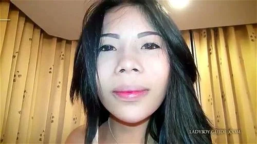 Watch Ladyboyguide miami bunny - Tranny, Shemale, Transexual Porn -  SpankBang