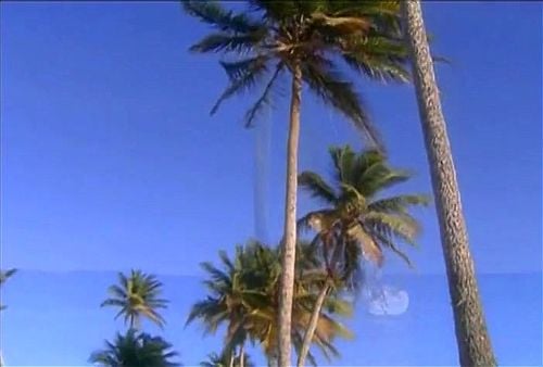 G-String Divas - S1E06 - Divas in Paradise