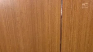 Watch from 0:06:39