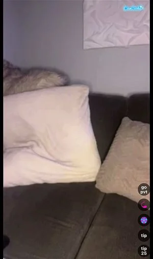 Watch from 0:08:15