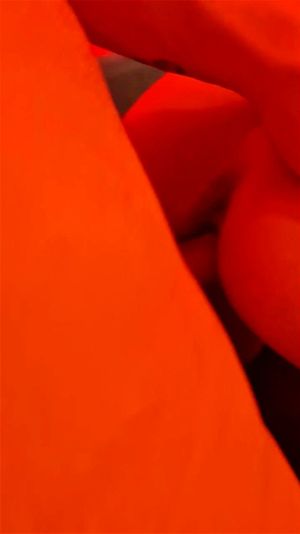 Ab 0:01:02 ansehen