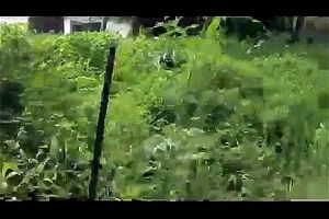 Watch from 0:00:12