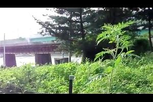 Watch from 0:01:43