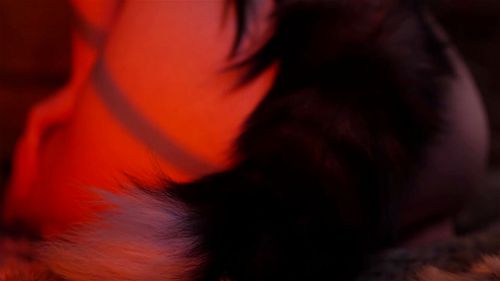 Asmr Mood: Wolf Twins: Blowjob & Fansly Porn
