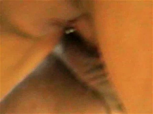 Petra az erd?ben Porn - SpankBang