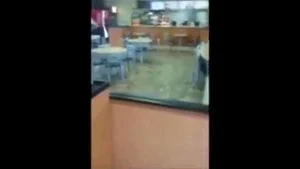 Watch from 0:05:19