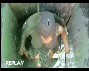 Watch from 0:02:50