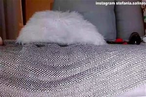 Watch from 0:02:50