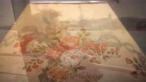 Watch from 0:08:32