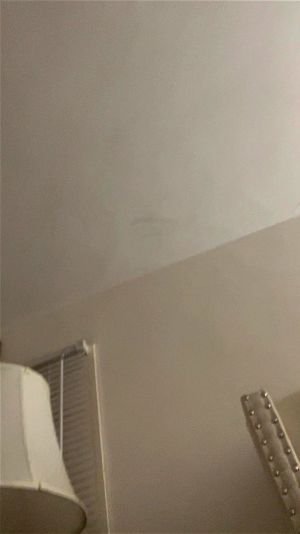 Cucumber playing pussie