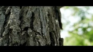 Watch from 0:00:55