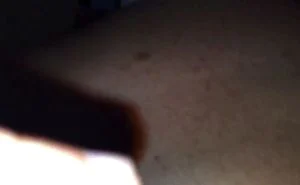 0:07:39から視聴