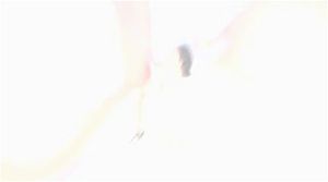 Watch from 0:00:38