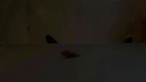 Watch from 0:01:02