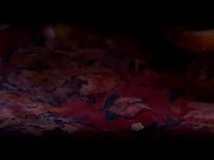Watch from 0:01:09
