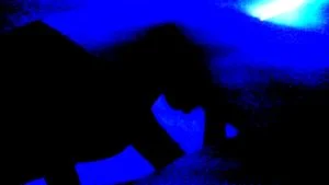 Ab 0:00:47 ansehen