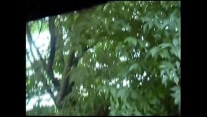 Watch from 1:21:08