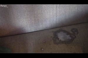 Watch from 0:06:39