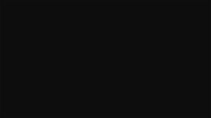 Ab 0:00:12 ansehen