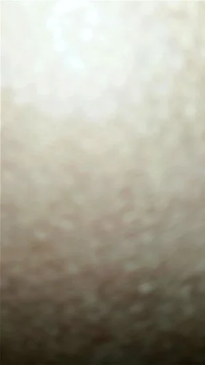 0:00:53から視聴