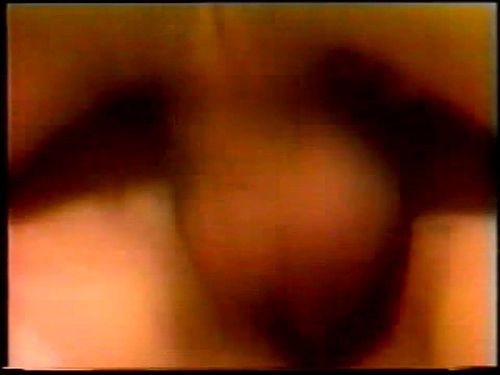 Traci Harlequin Affair 