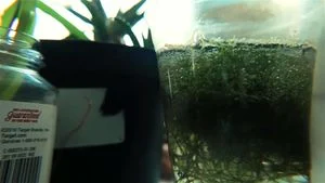 Watch from 0:14:20