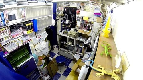 Watch titi - Sex, Nude Sex, Big Tits Porn - SpankBang