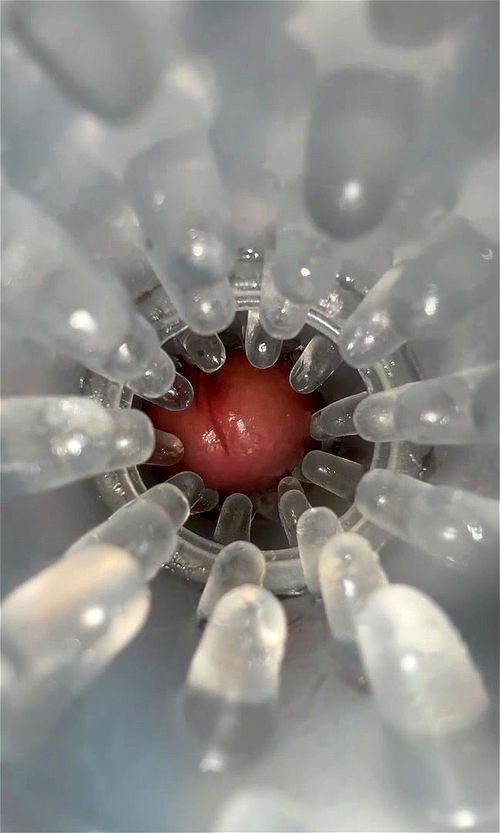 Sex Toy Masturbation Video Porno - SpankBang