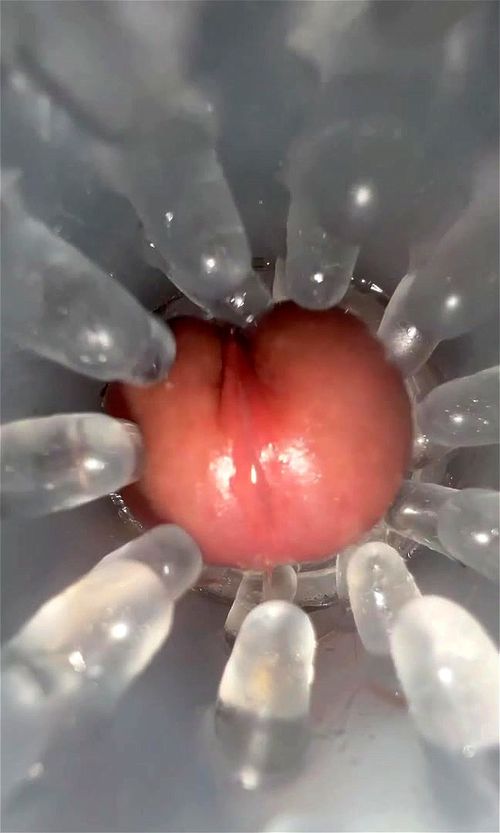 Sex Toy Masturbation Video Porno - SpankBang