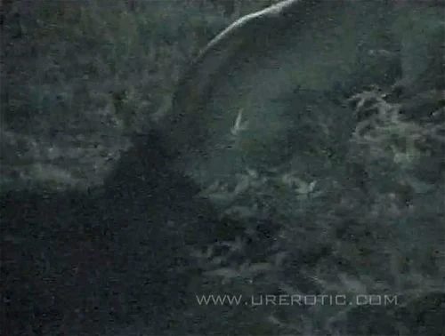 Découvrez une aventure nocturne excitante avec des adultes dans cette scène audacieuse et passionnée. Ce contenu met en scène des moments intimes et de la passion entre des hommes et des femmes consentants, offrant une expérience de visionnage inoubliable pleine de désir et d'excitation. Vidéo Porno - SpankBang