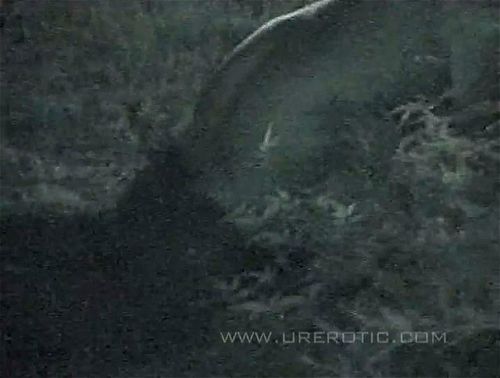 Night Crawling 44 Porrfilm - SpankBang