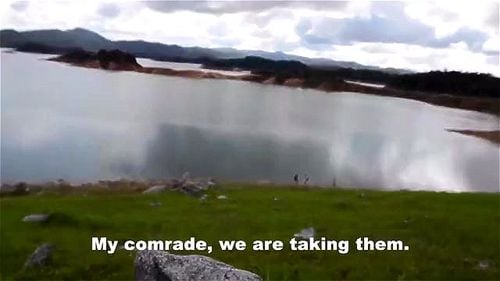 Latina jungle Porn - SpankBang