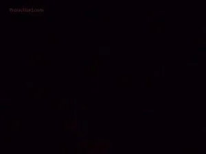 Watch from 0:04:25