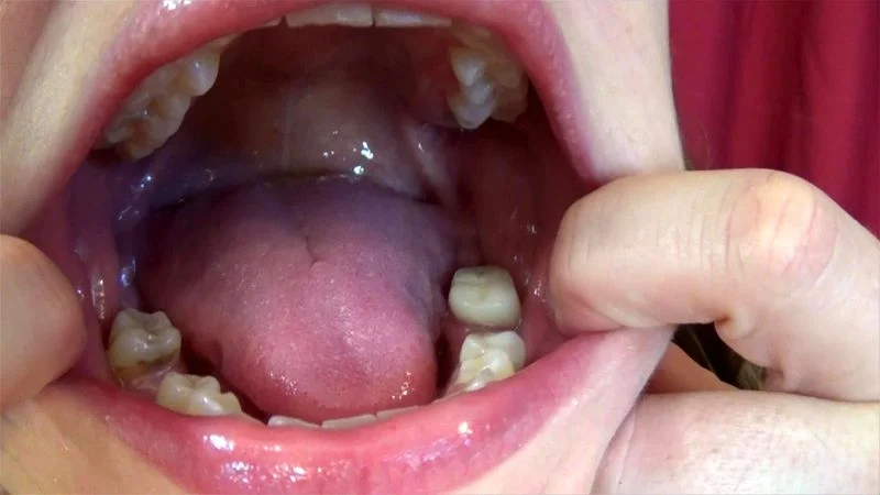 Skylars Mouth Tour Skylars Mouth Tour