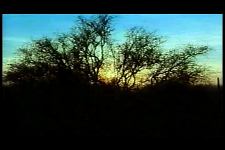 Sweet Savage (1978) Sweet Savage (1978)