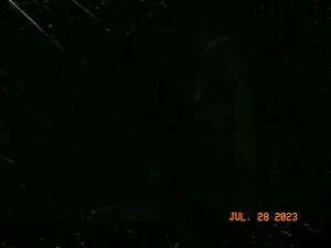 0:04:29から視聴