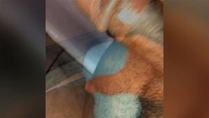 Ab 0:00:27 ansehen