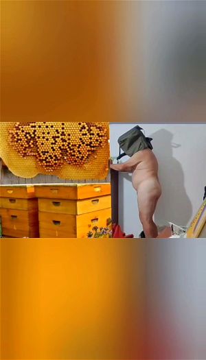 Ab 0:03:34 ansehen