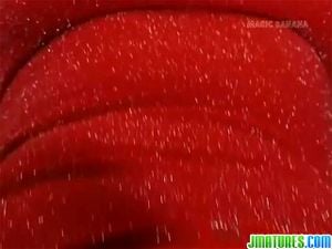 Watch from 0:00:44