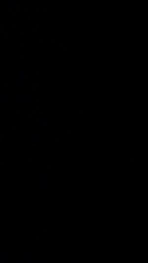 Watch from 0:02:05