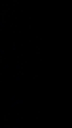 Watch from 0:04:11