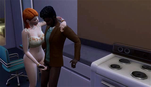 the sims diaries