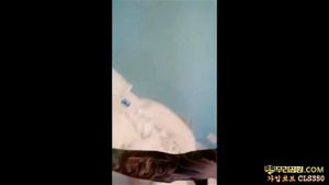 Watch from 0:06:35
