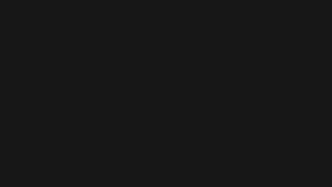 Guarda da 0:15:59