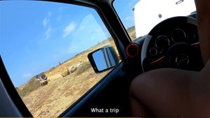 Watch from 0:08:02