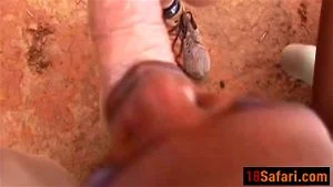 Perfect looking African babe gets fucked somewhere in Safari