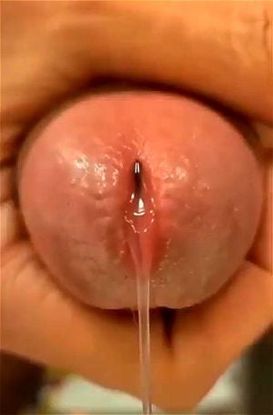 close up dick