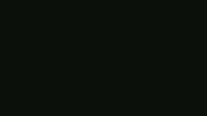 Watch from 0:00:25