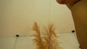 Watch from 0:05:39