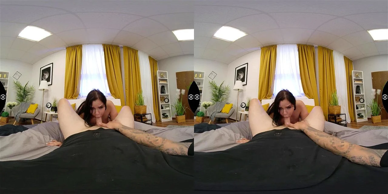 Asset